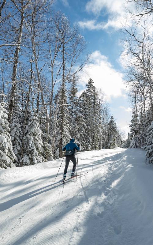 Cross-country skiing